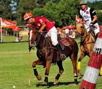Polo Day